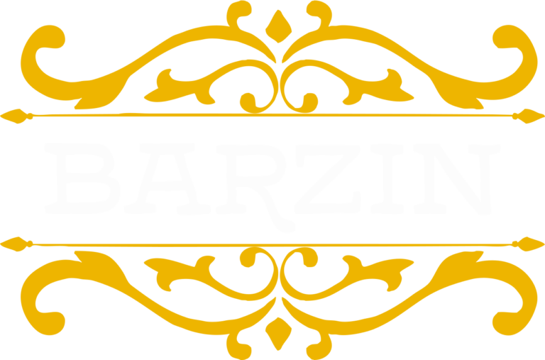 Logo - Barzin - atualizado